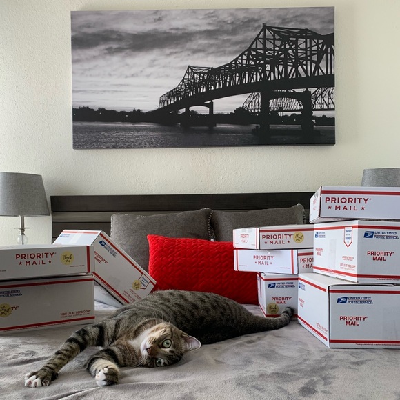 𝑴𝒆𝒆𝒕 𝑻𝒉𝒆 𝑷𝒐𝒔𝒉𝒆𝒓 ♡ - Picture 9 of 12